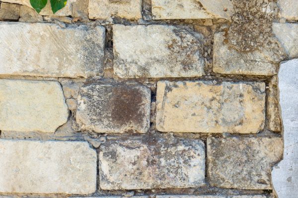 Block Wall Removal in Cape Coral